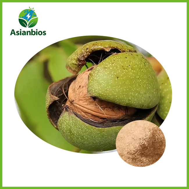 Walnut Peptide